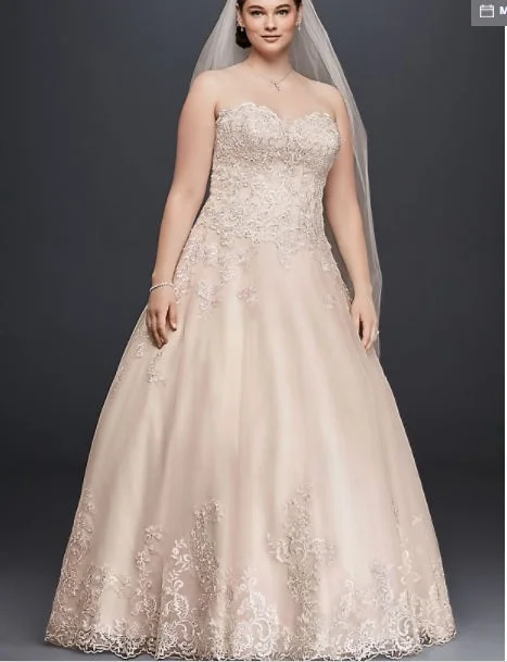 Price Drop David's Bridal 9V3836