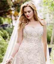 Today’s Deal David's Bridal 9V3587