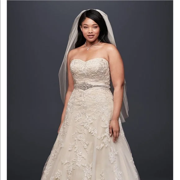 Act Now David's Bridal 9V3587